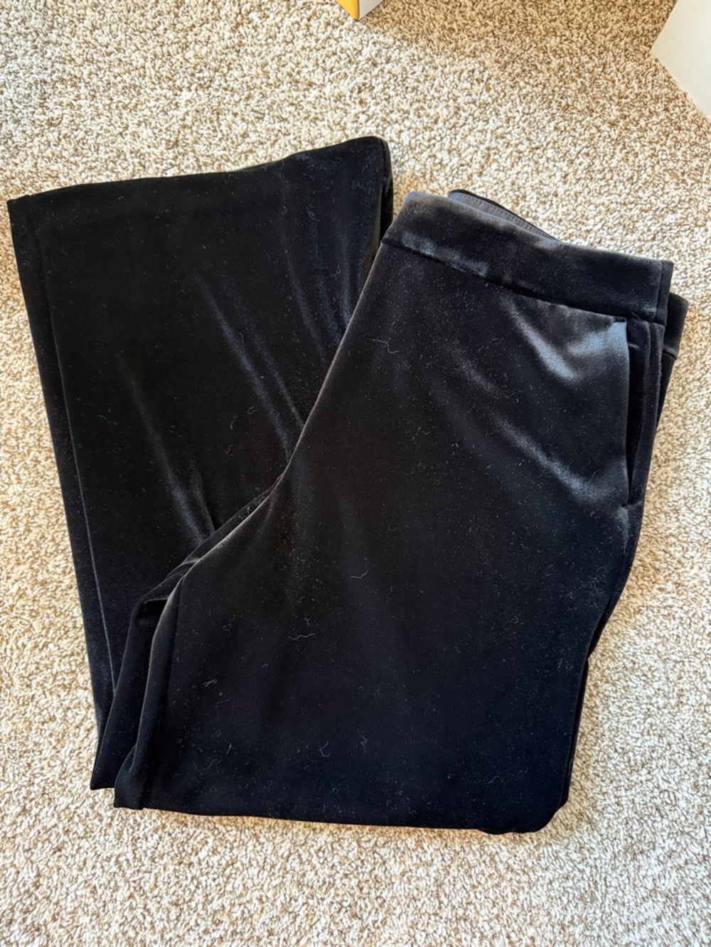 LOFT Black Velvet Wide Leg Pants